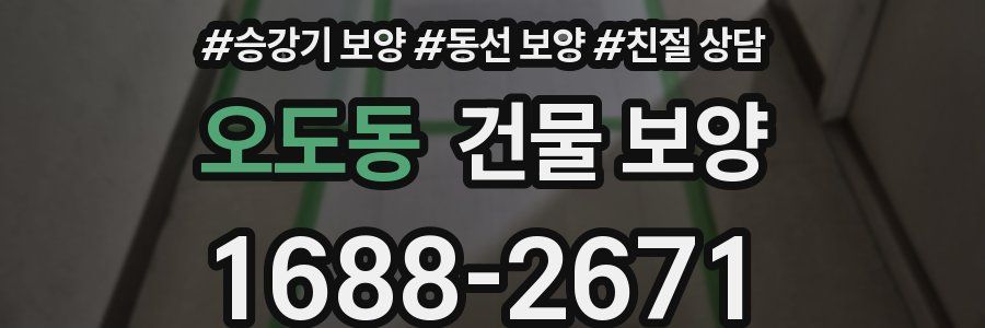 오도동 건물 보양