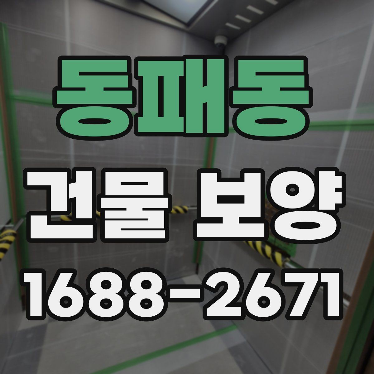 동패동 건물 보양 품질 관리에서 놓치기 쉬운 점