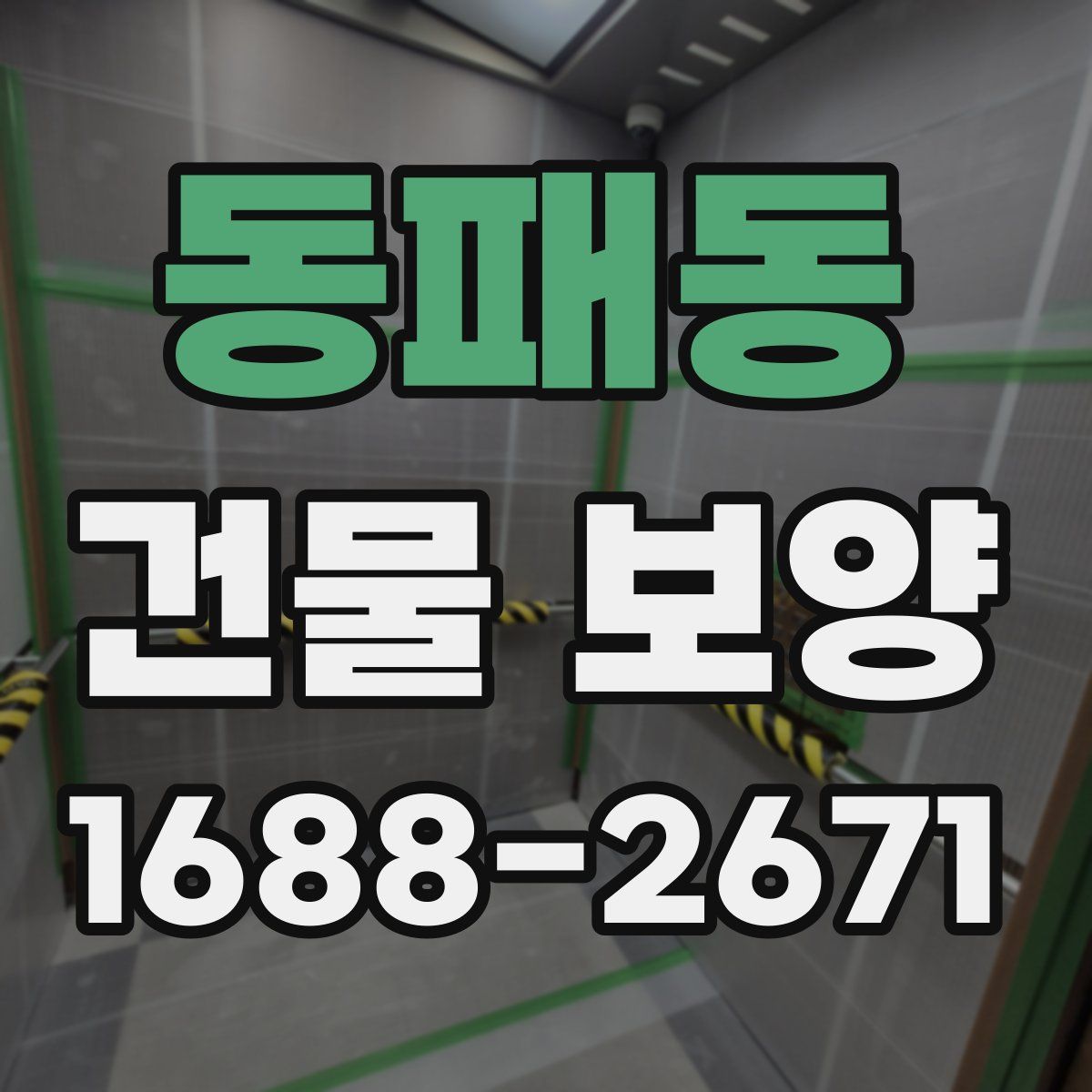 동패동 건물 보양
