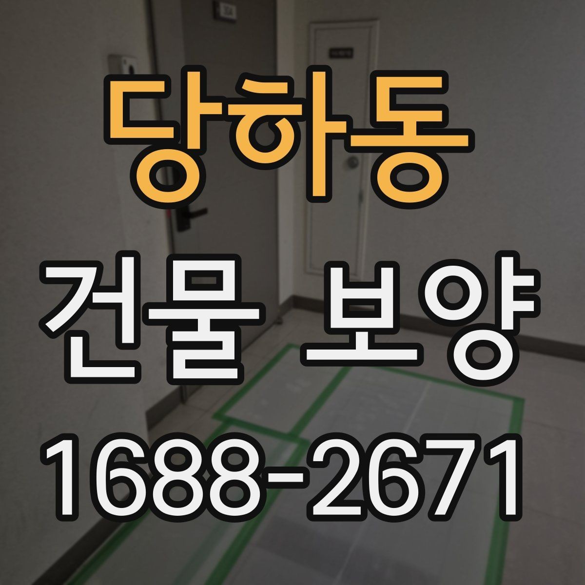 당하동 건물 보양 현장에서 쓰는 주요 자재 비교