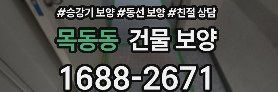 목동동 건물 보양