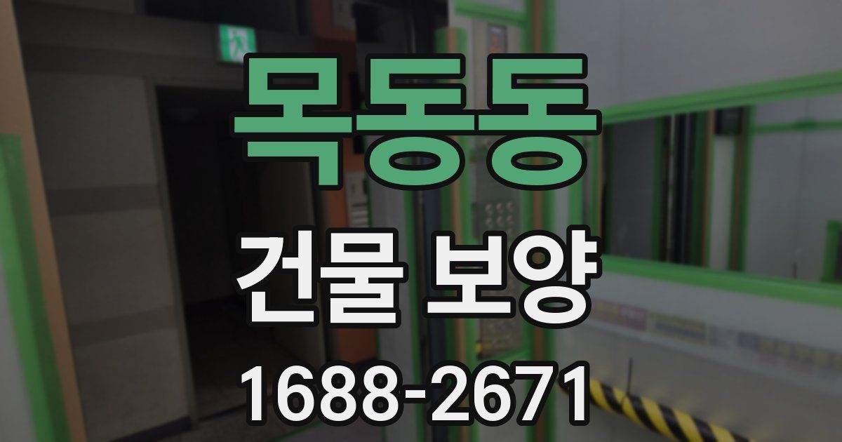 목동동 건물 보양