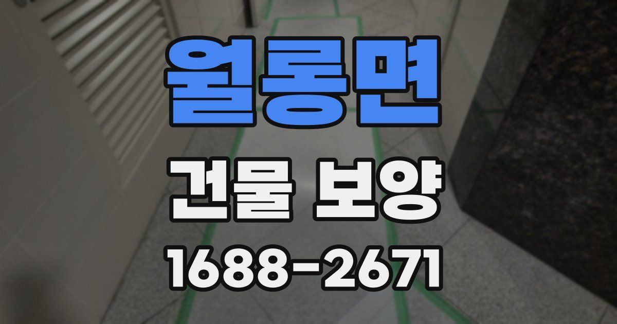 월롱면 건물 보양