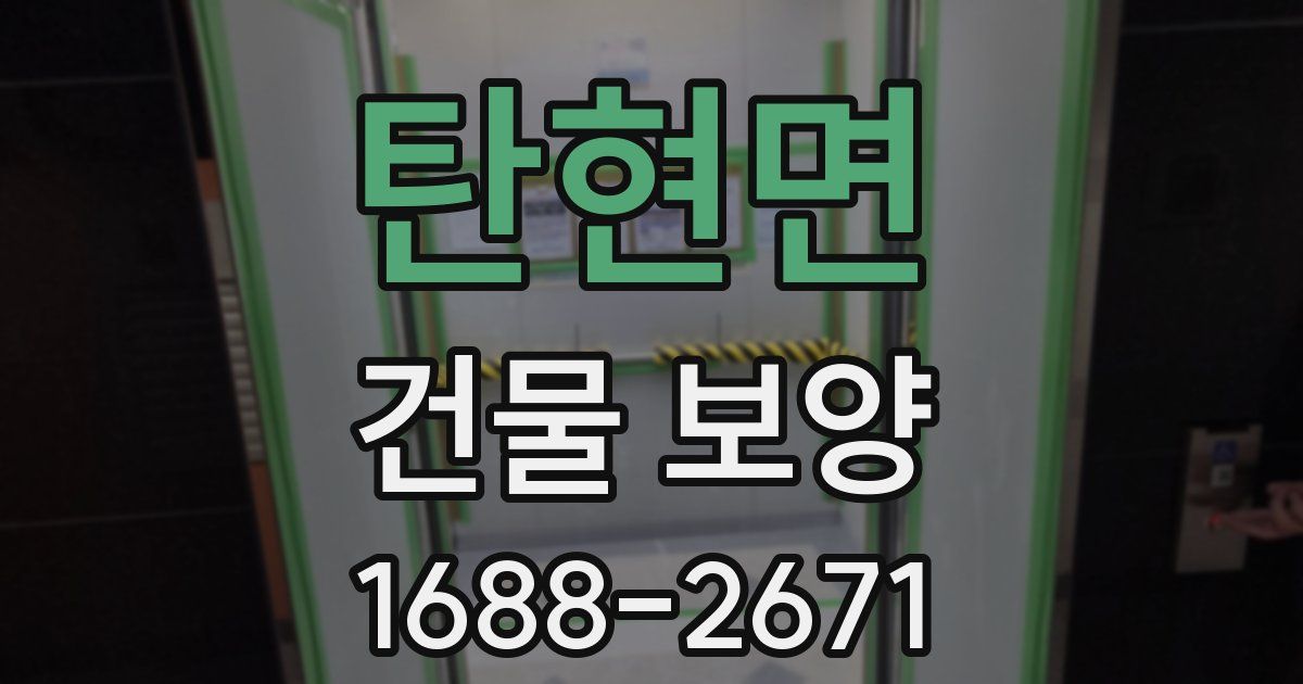 탄현면 건물 보양