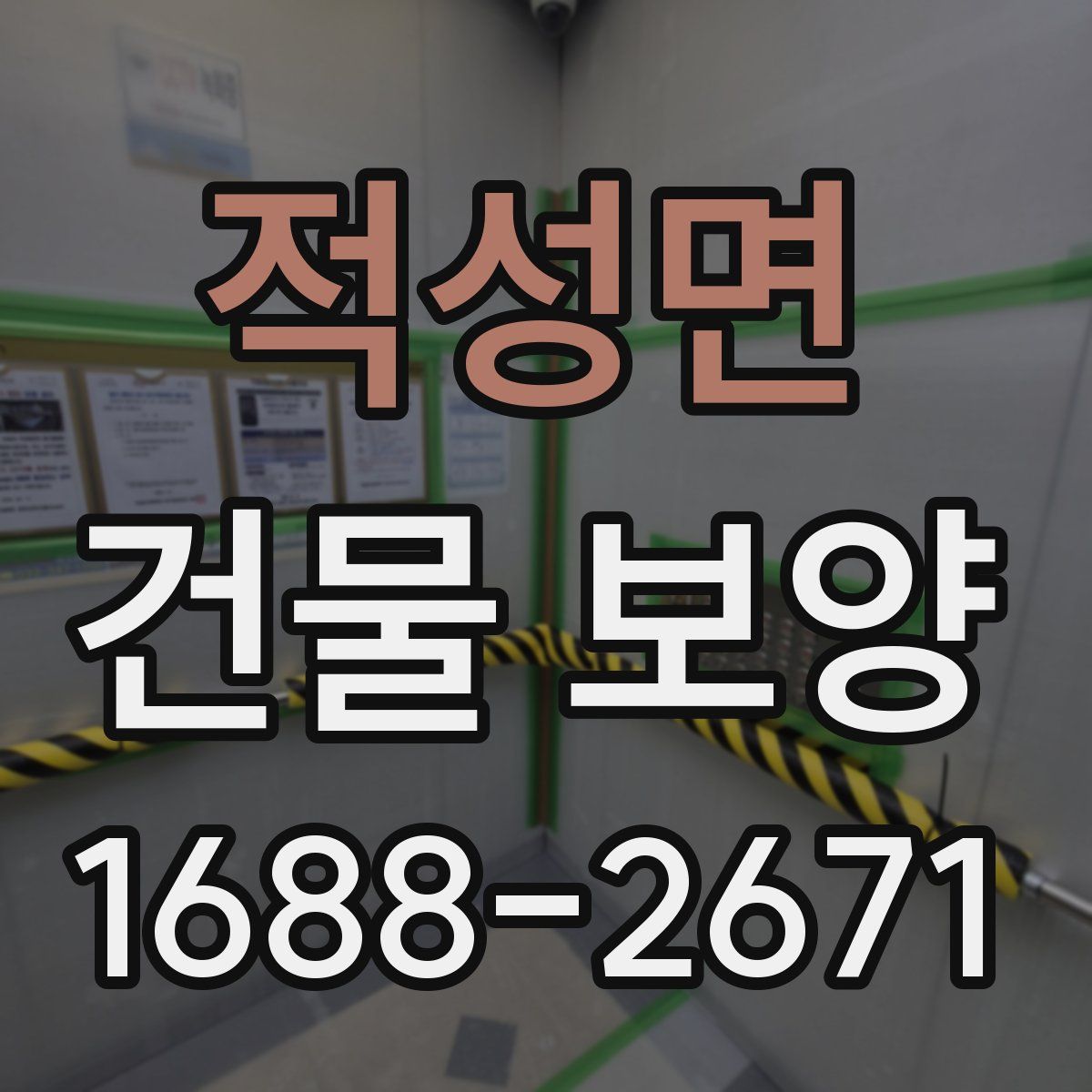 적성면 건물 보양