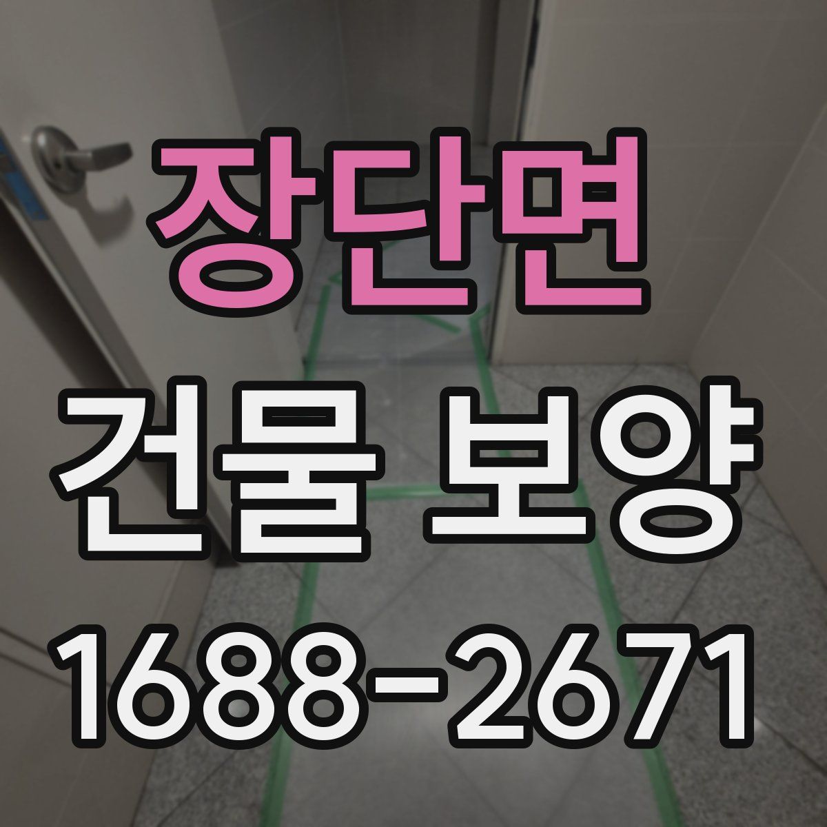 장단면 건물 보양