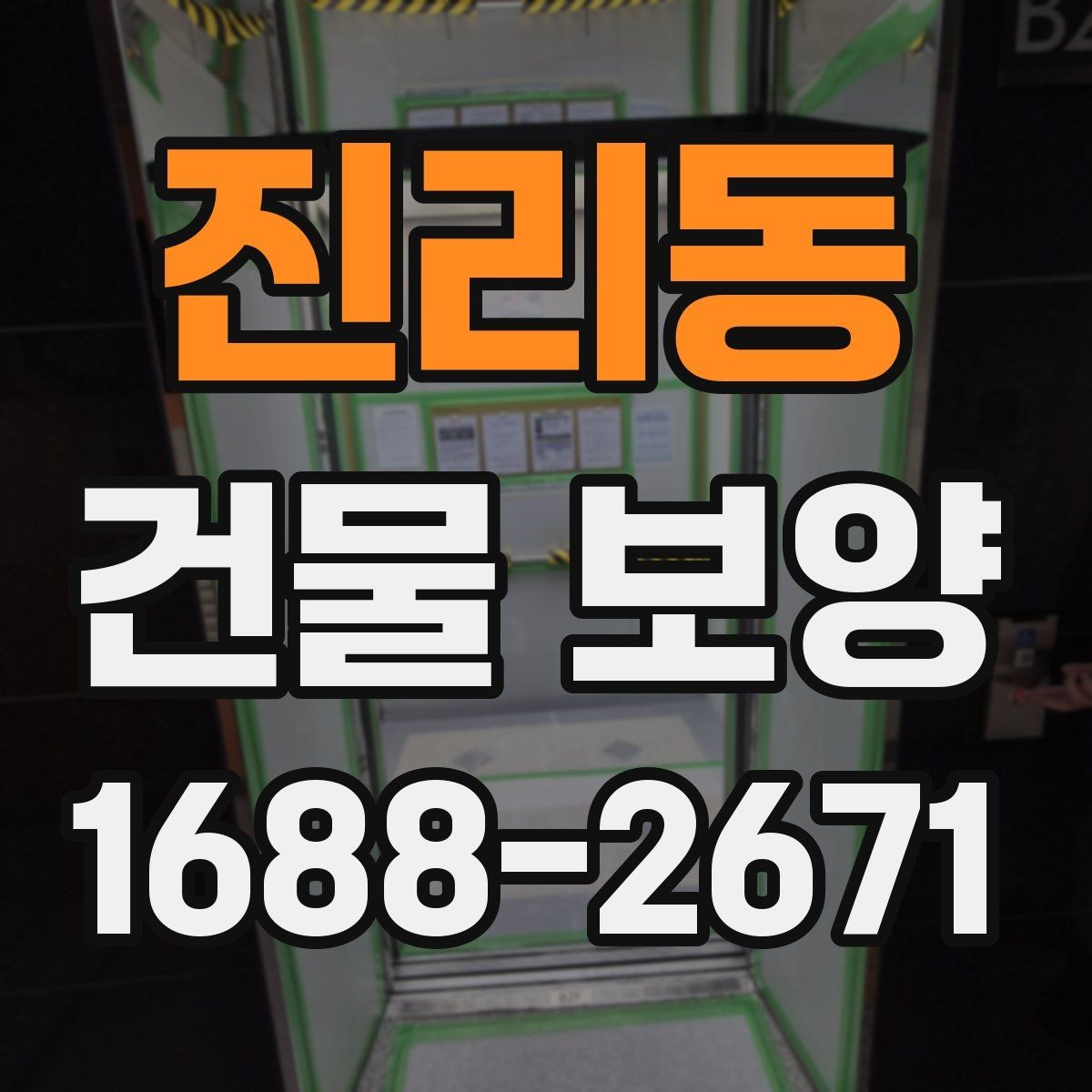 진리동 건물 보양 품질을 좌우하는 핵심 요소