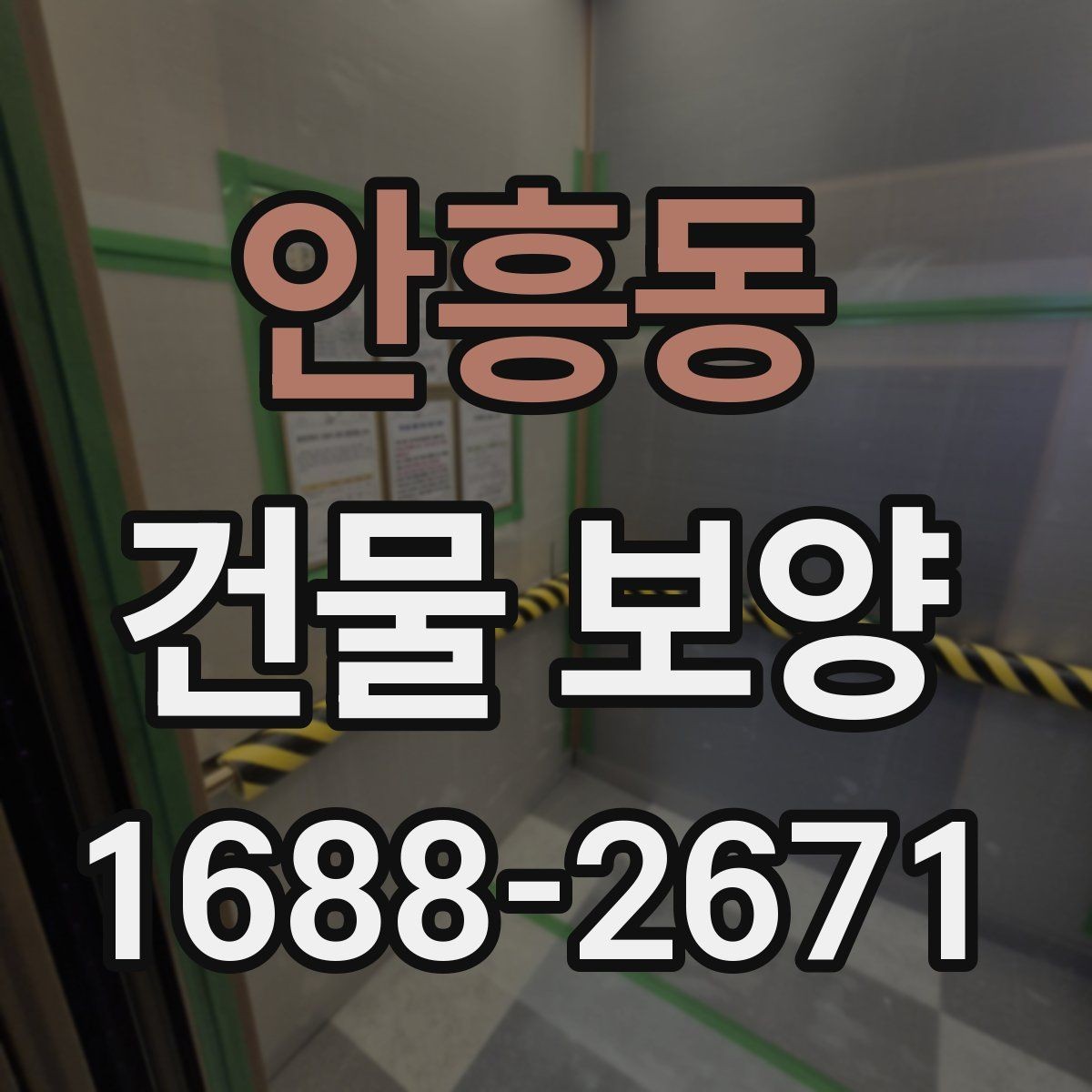 안흥동 건물 보양 작업의 핵심 포인트 정리