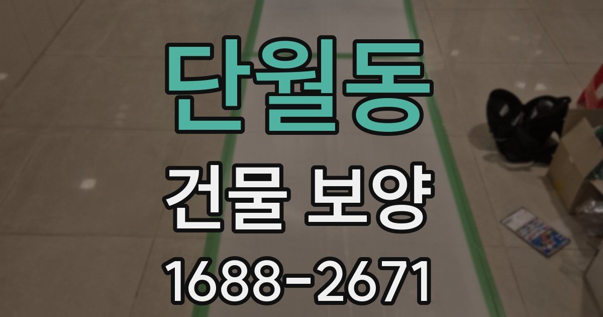 단월동 건물 보양