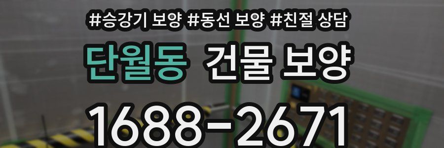 단월동 건물 보양