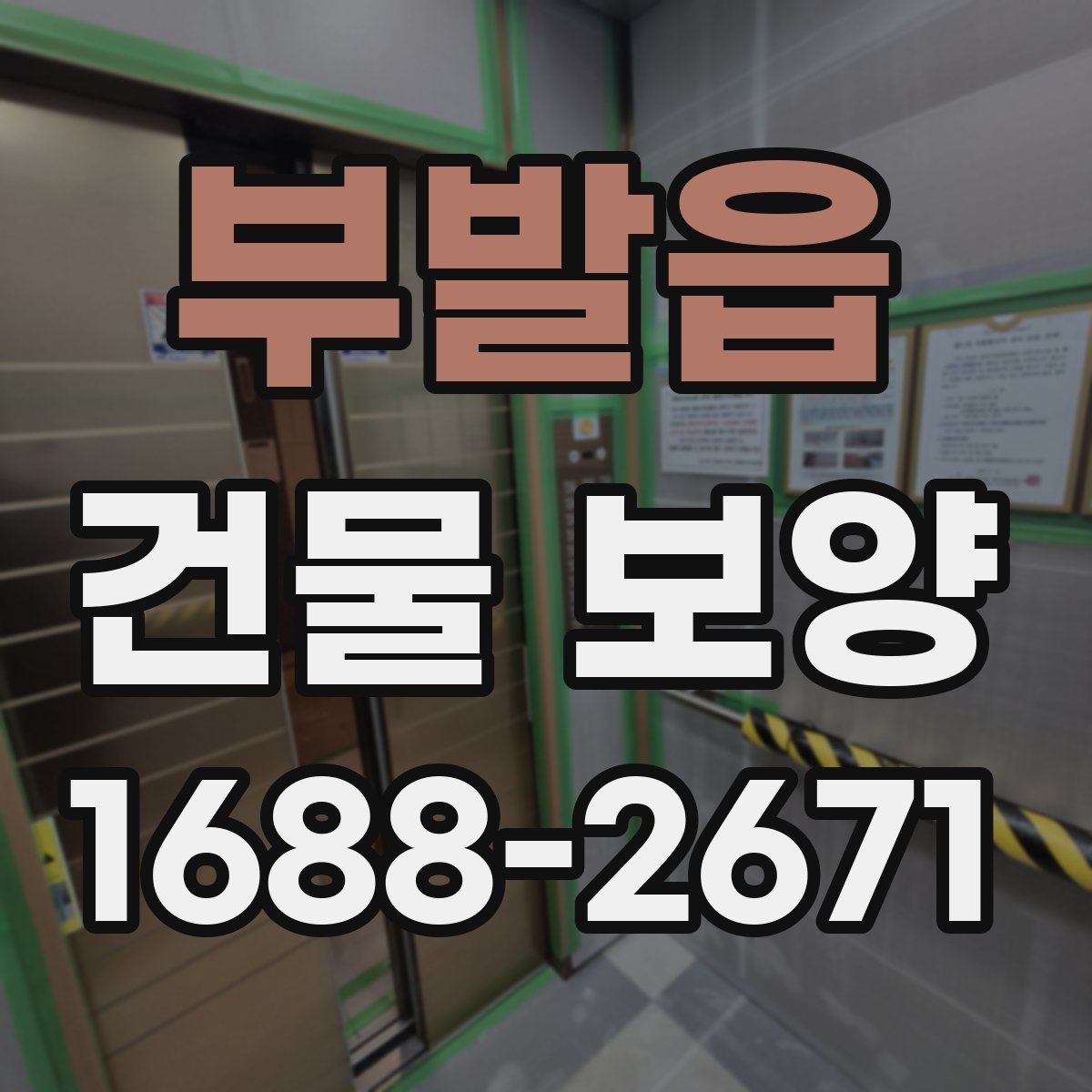 부발읍 건물 보양