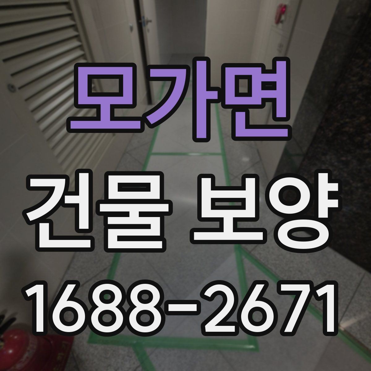 모가면 건물 보양 시 계절별 관리 포인트