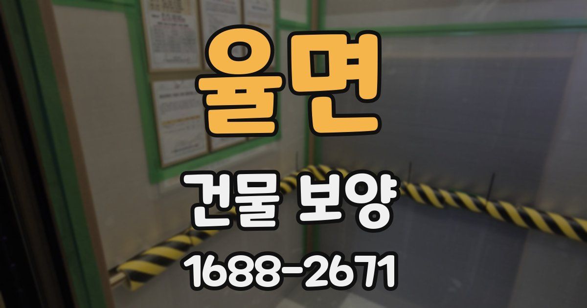 율면 건물 보양