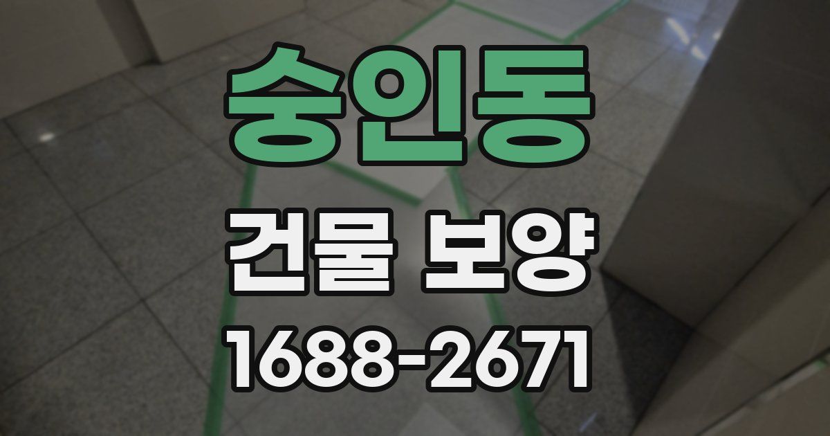 숭인동 건물 보양