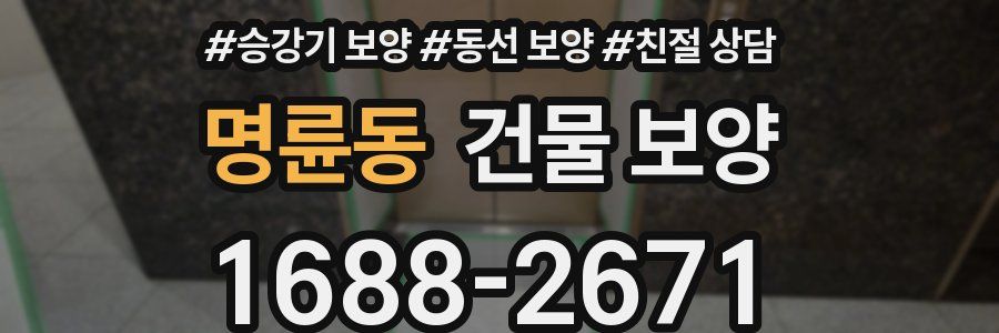 명륜동 건물 보양