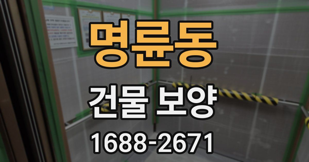 명륜동 건물 보양
