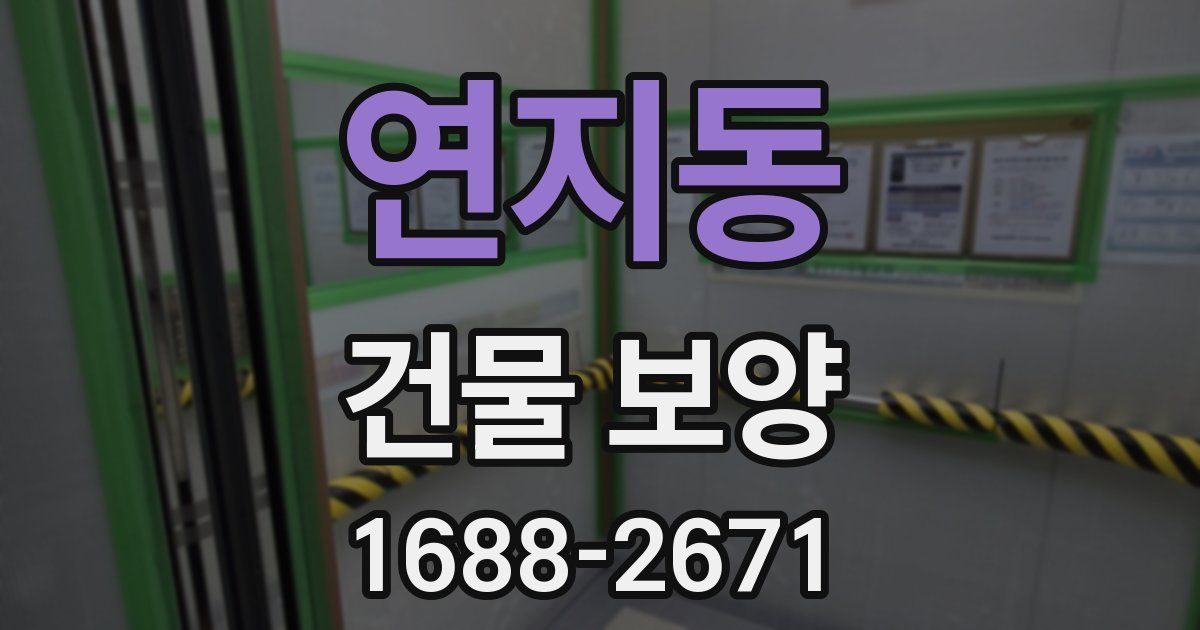연지동 건물 보양