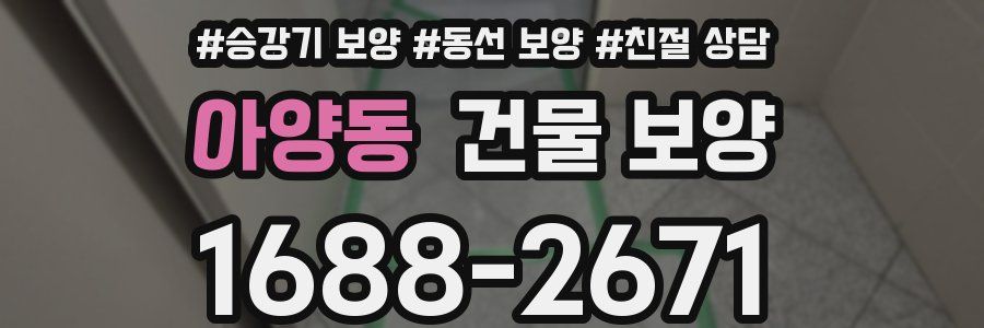 아양동 건물 보양