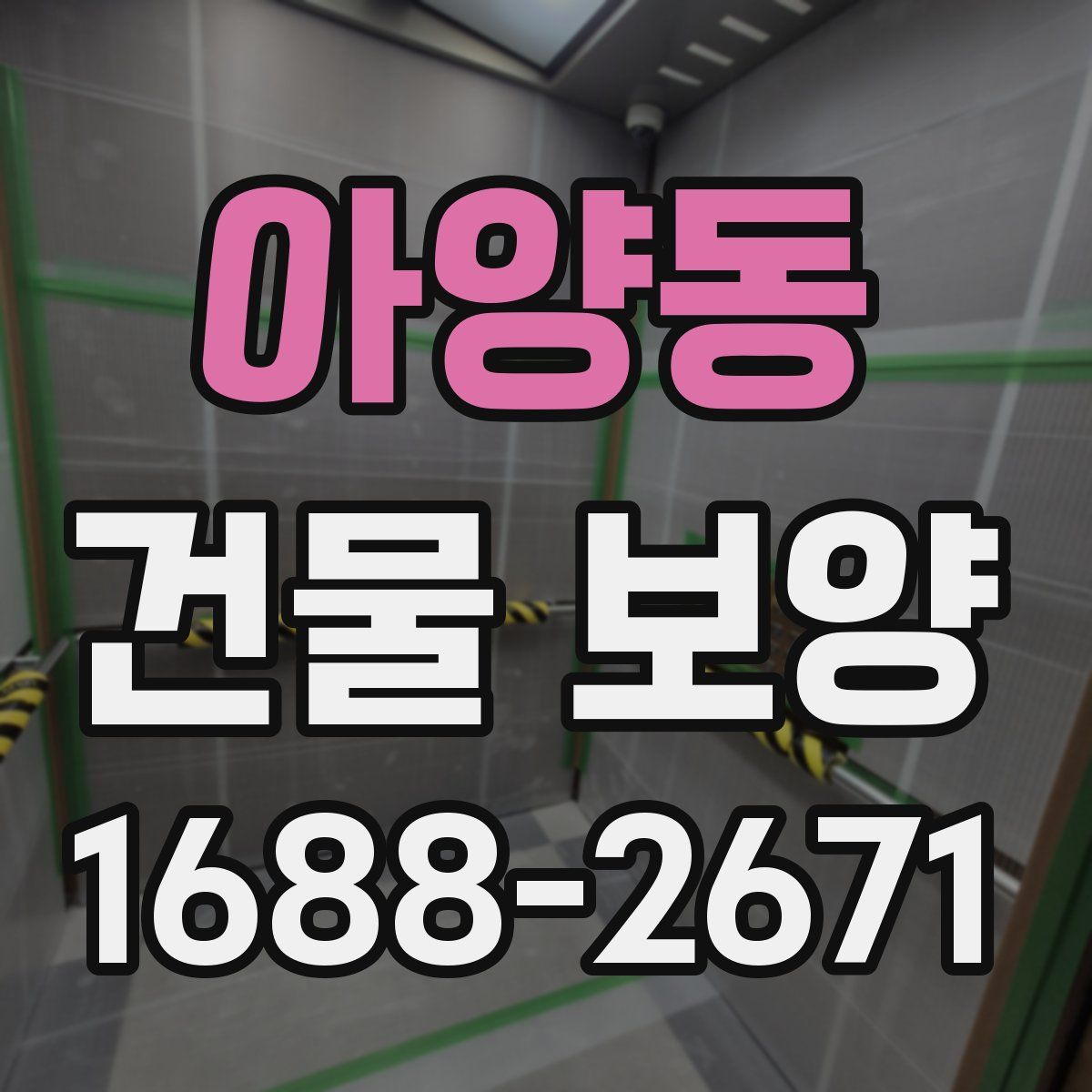 아양동 건물 보양