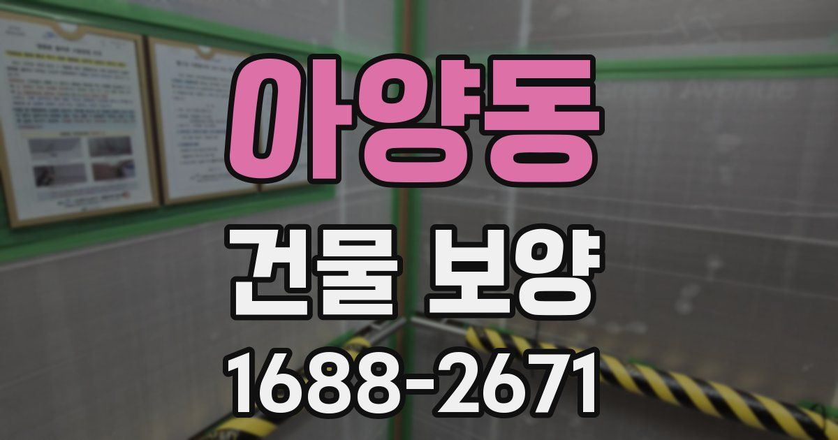 아양동 건물 보양