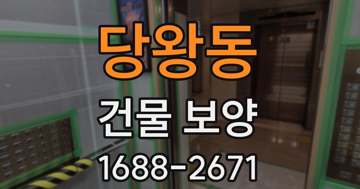 당왕동 건물 보양