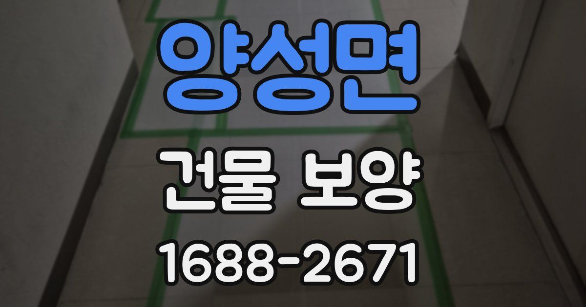 양성면 건물 보양