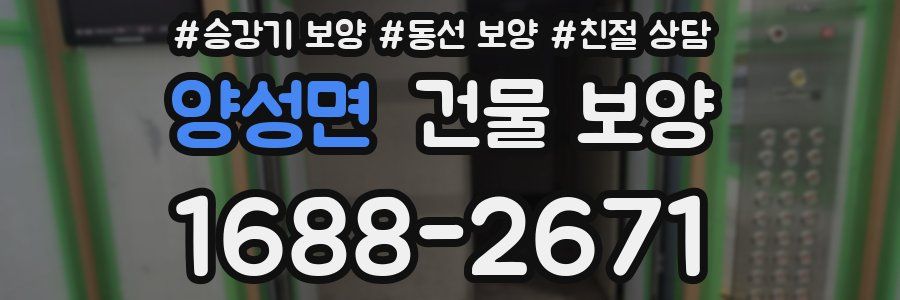 양성면 건물 보양