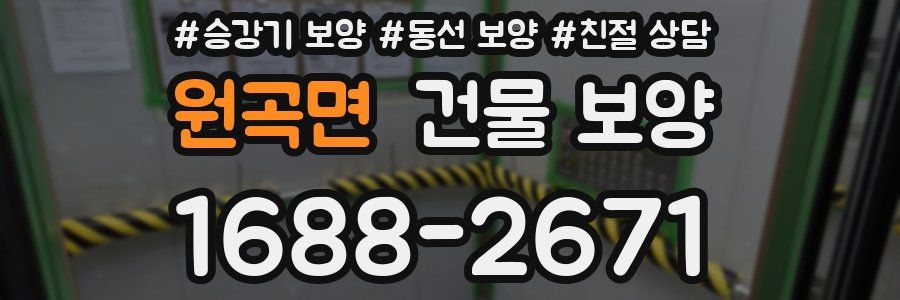 원곡면 건물 보양