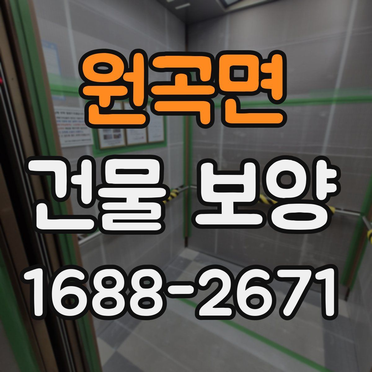 원곡면 건물 보양