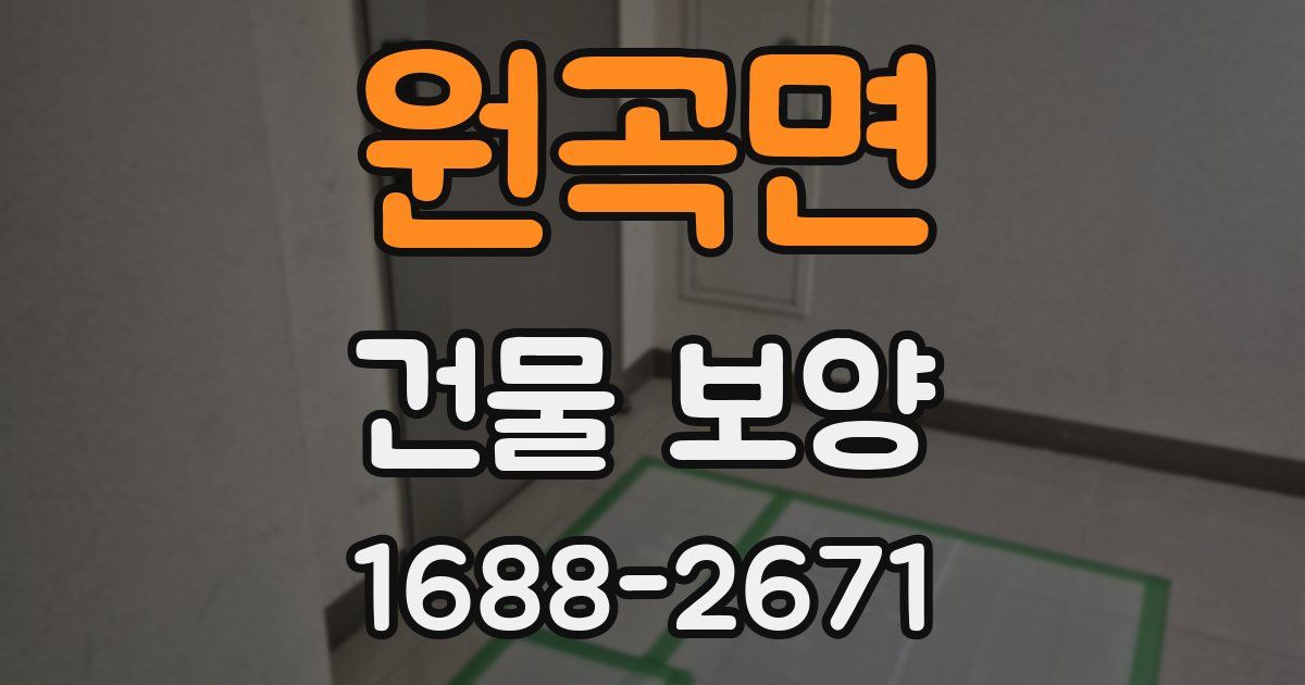 원곡면 건물 보양