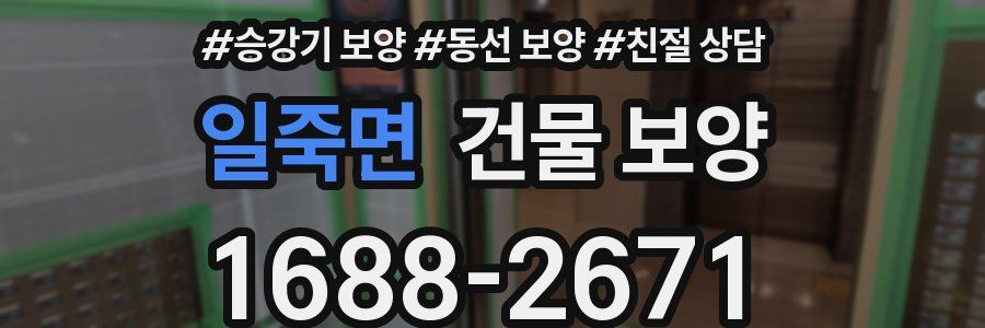 일죽면 건물 보양