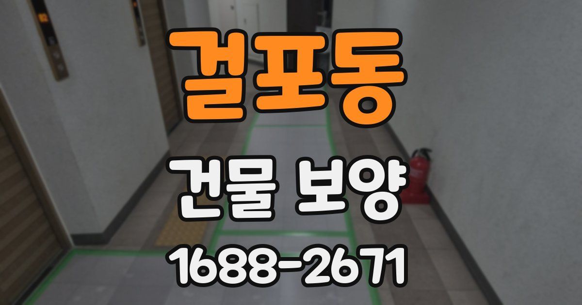 걸포동 건물 보양