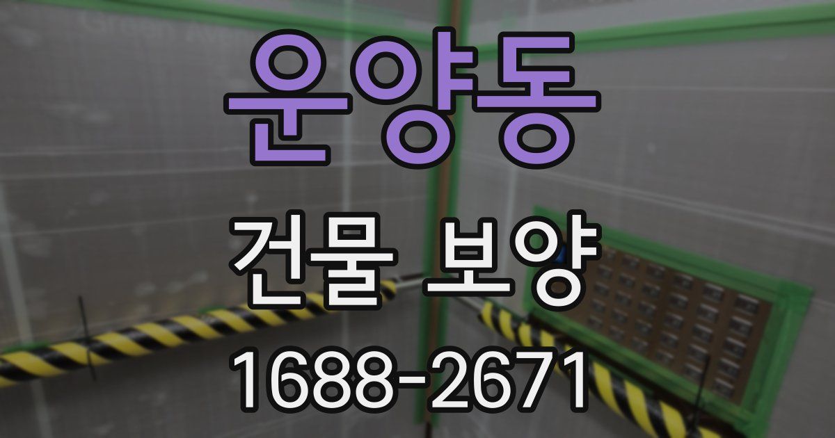운양동 건물 보양