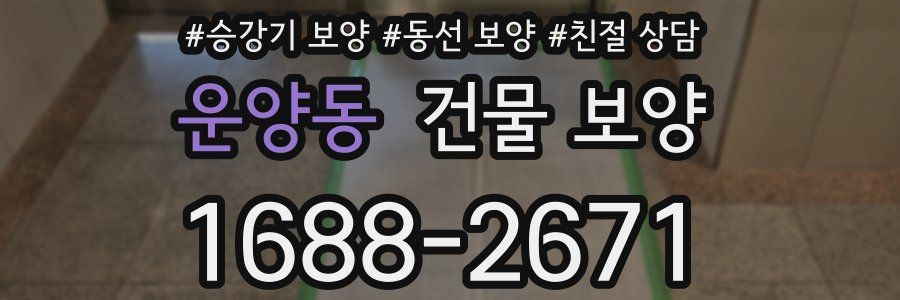 운양동 건물 보양
