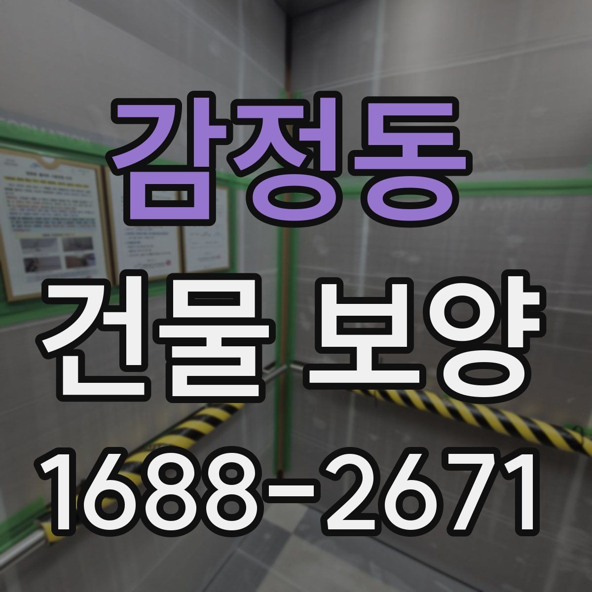 감정동 건물 보양 마감재 보호를 위한 실무 팁