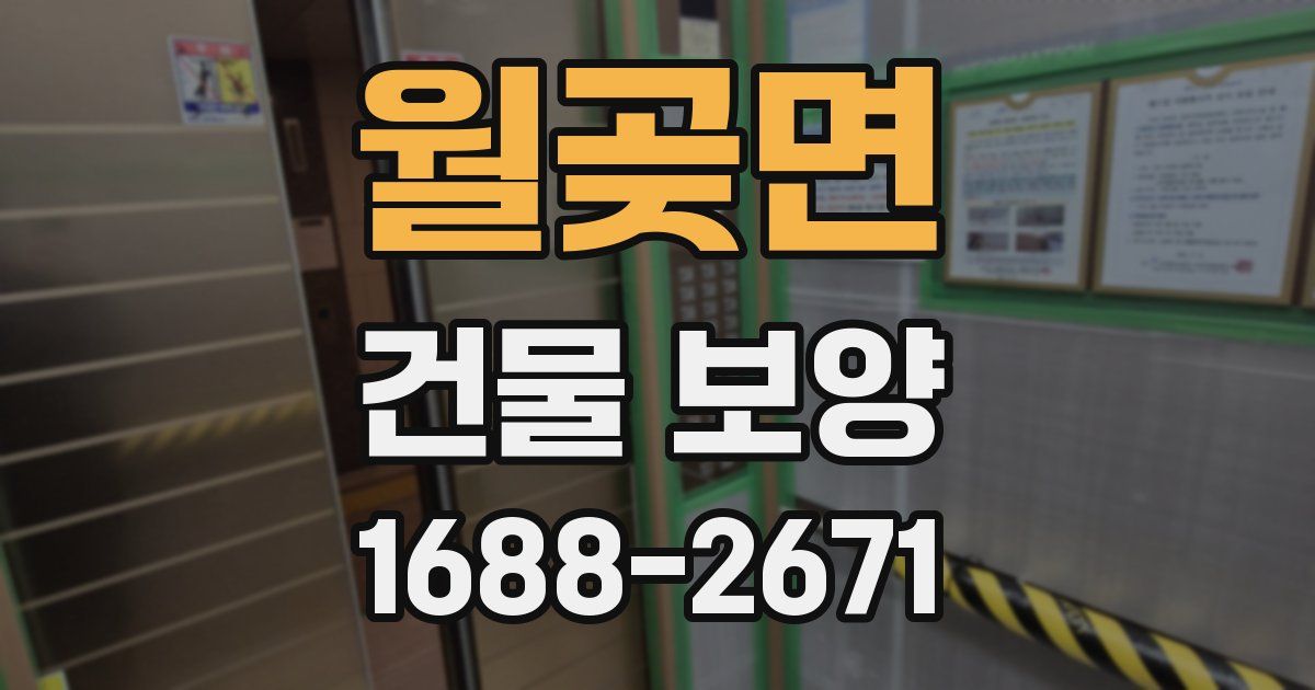월곶면 건물 보양