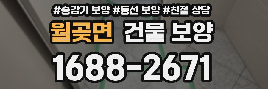 월곶면 건물 보양