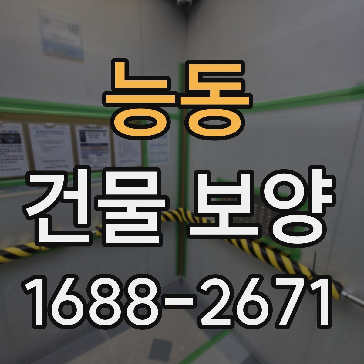 능동 건물 보양 자재별 특징과 쓰임새