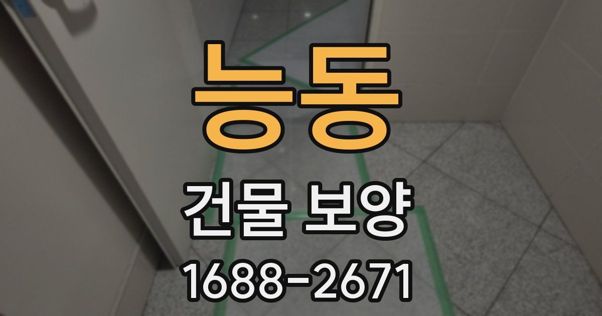능동 건물 보양
