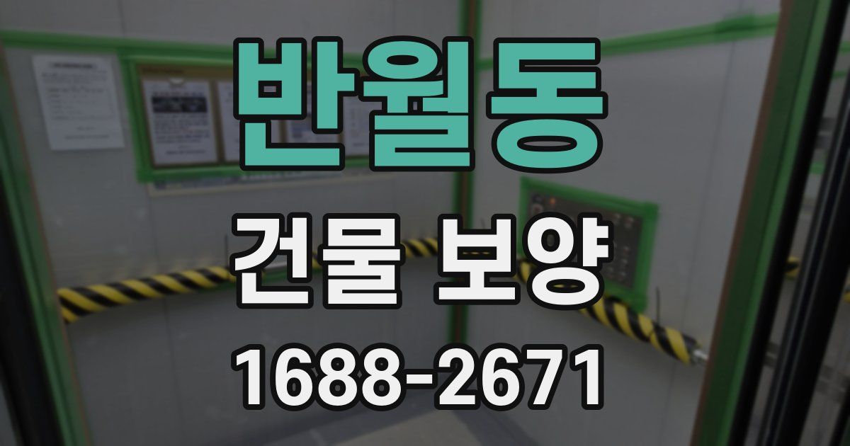 반월동 건물 보양