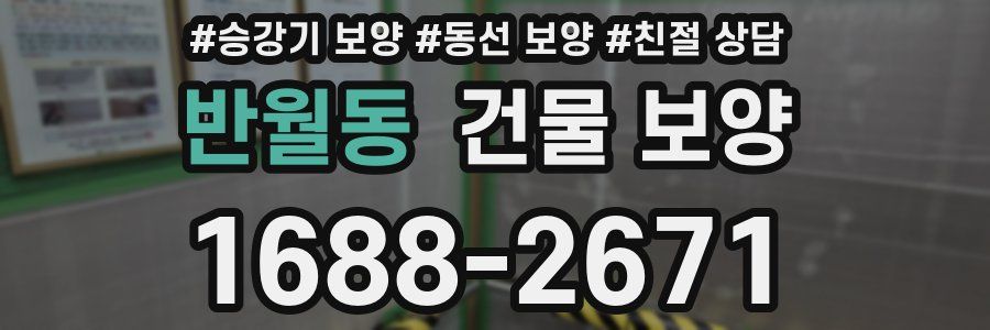 반월동 건물 보양