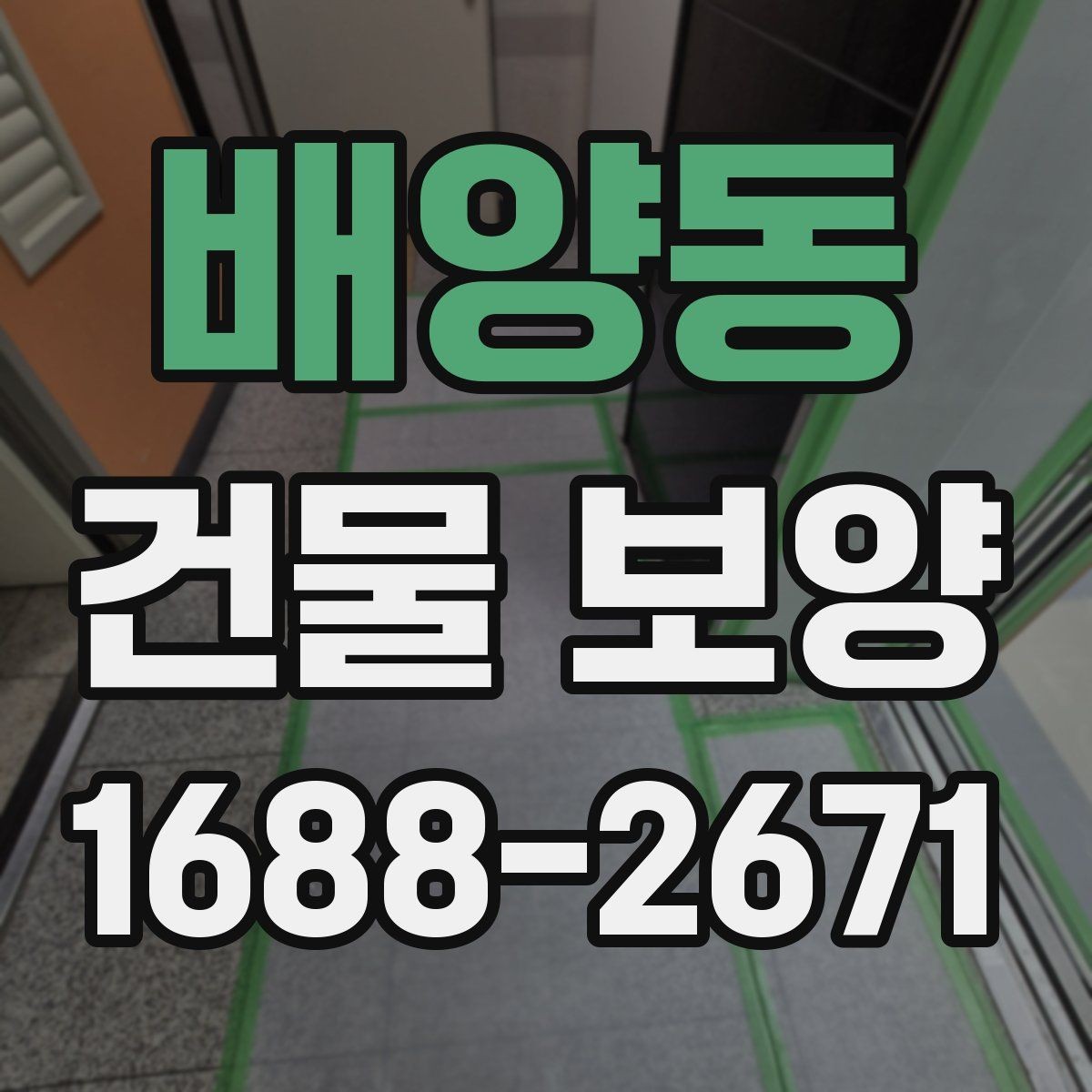 배양동 건물 보양 작업 범위 설정과 계획 세우기