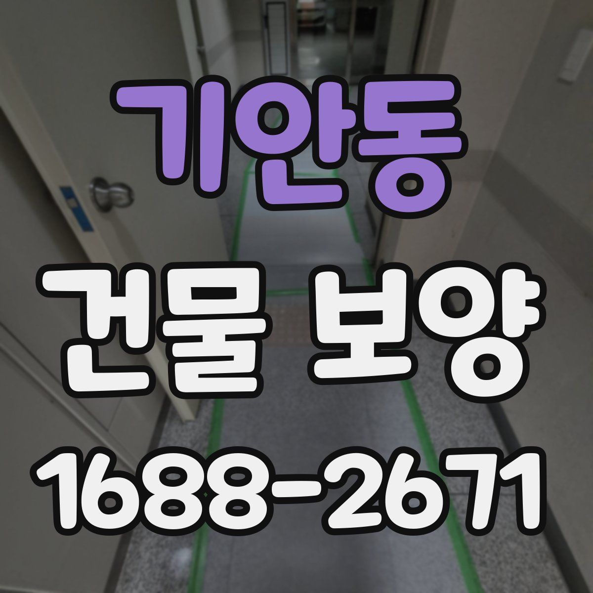 기안동 건물 보양