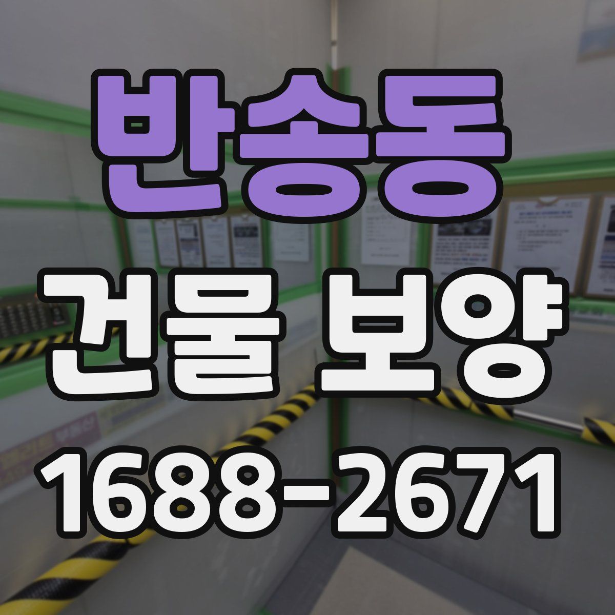 반송동 건물 보양