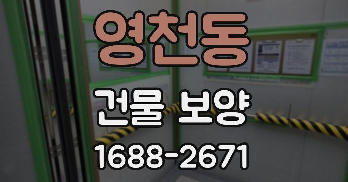 영천동 건물 보양