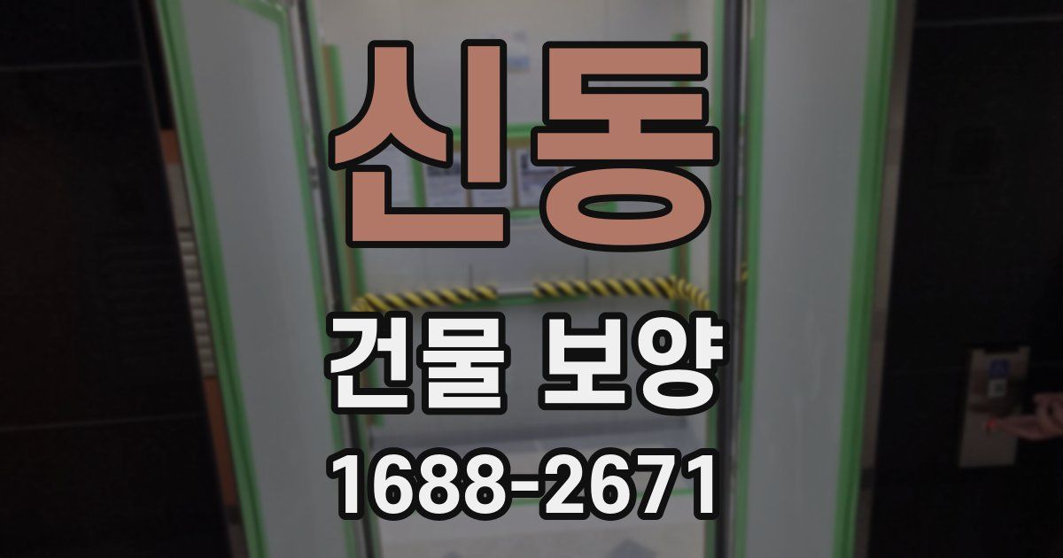 신동 건물 보양