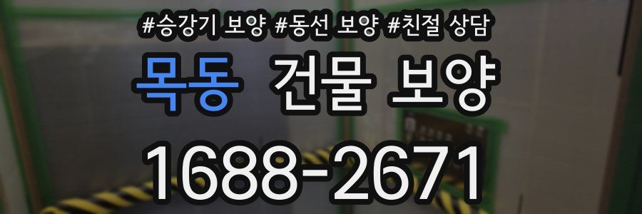 목동 건물 보양