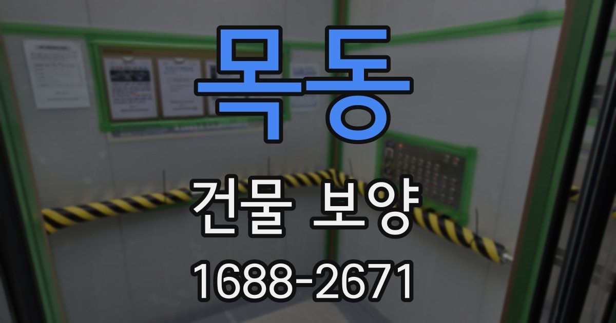 목동 건물 보양