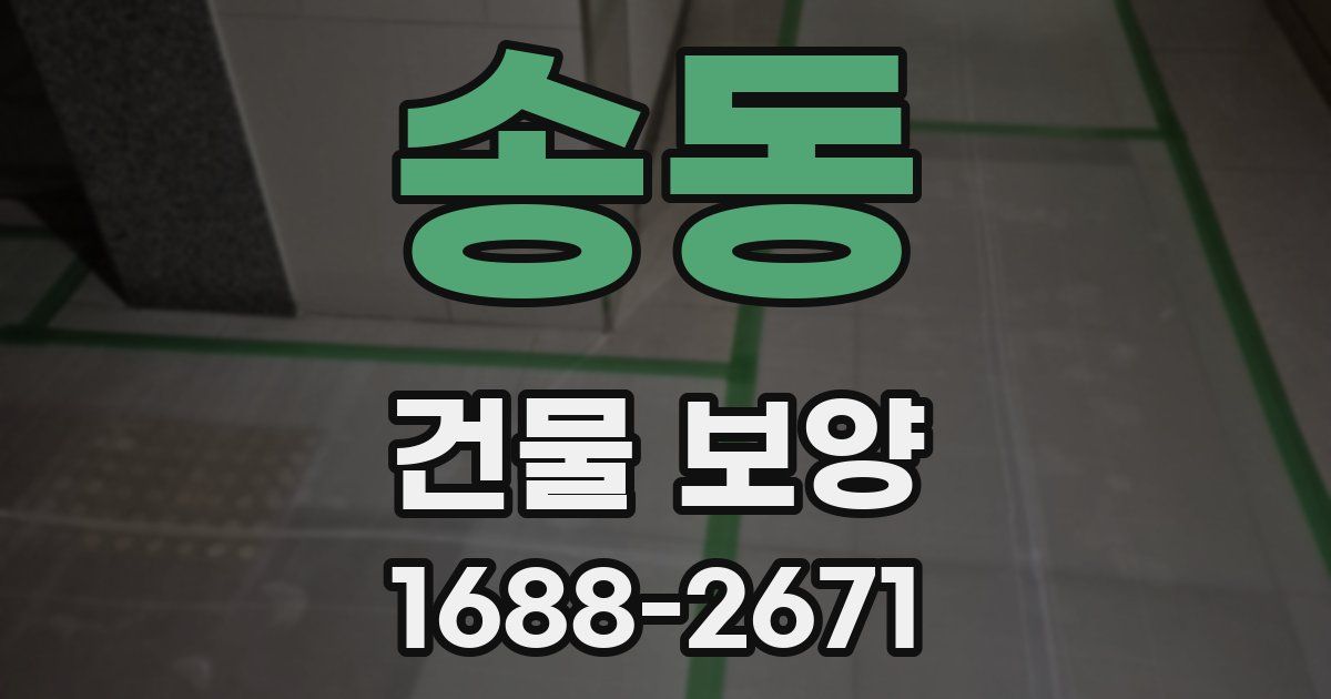 송동 건물 보양