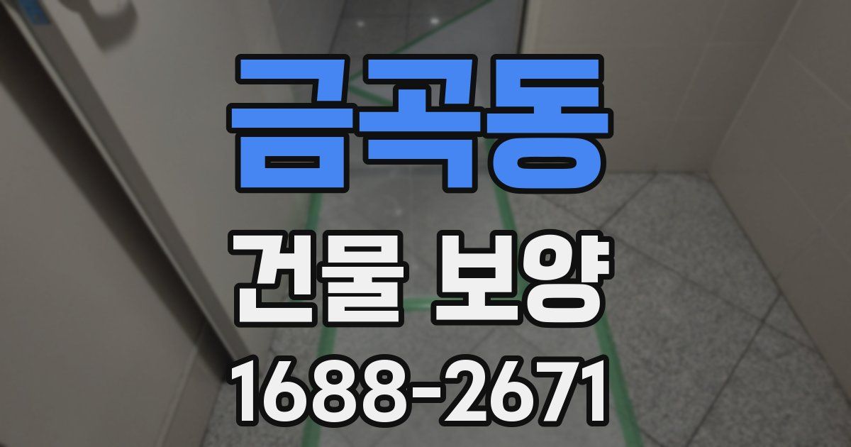 금곡동 건물 보양